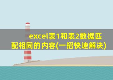 excel表1和表2数据匹配相同的内容(一招快速解决)