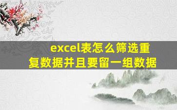 excel表怎么筛选重复数据并且要留一组数据