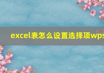 excel表怎么设置选择项wps