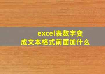 excel表数字变成文本格式前面加什么