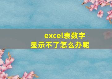 excel表数字显示不了怎么办呢