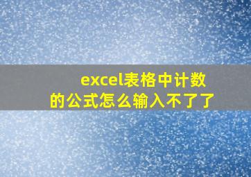 excel表格中计数的公式怎么输入不了了