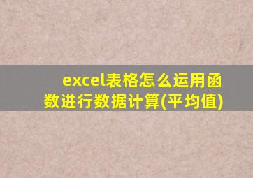 excel表格怎么运用函数进行数据计算(平均值)