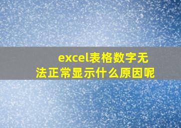 excel表格数字无法正常显示什么原因呢