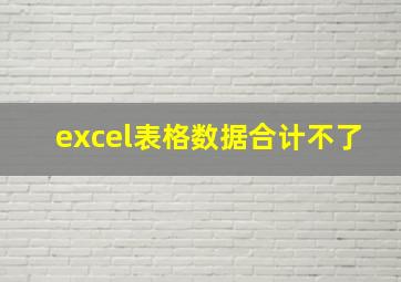 excel表格数据合计不了