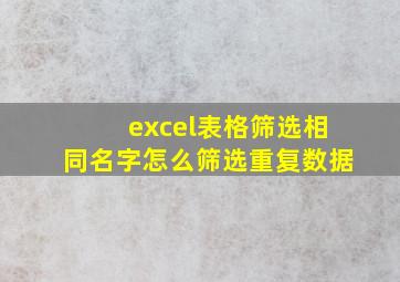 excel表格筛选相同名字怎么筛选重复数据