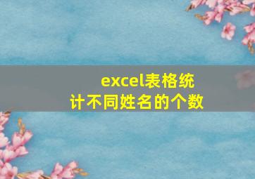 excel表格统计不同姓名的个数