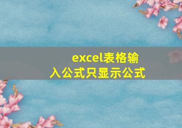 excel表格输入公式只显示公式