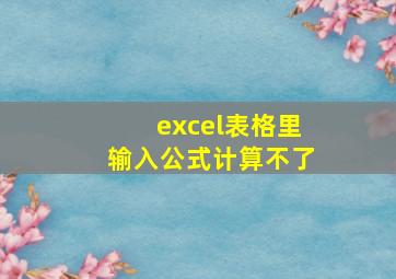 excel表格里输入公式计算不了