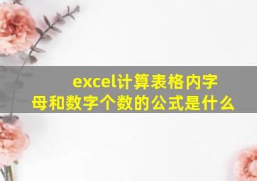 excel计算表格内字母和数字个数的公式是什么