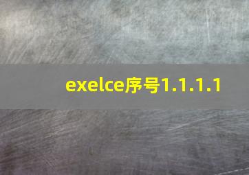 exelce序号1.1.1.1