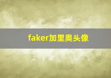 faker加里奥头像