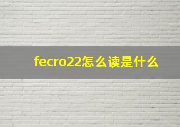 fecro22怎么读是什么