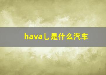 hava乚是什么汽车