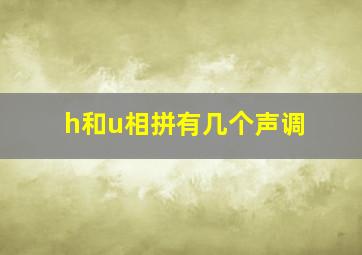 h和u相拼有几个声调