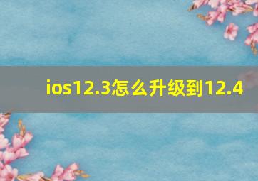 ios12.3怎么升级到12.4