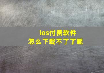 ios付费软件怎么下载不了了呢