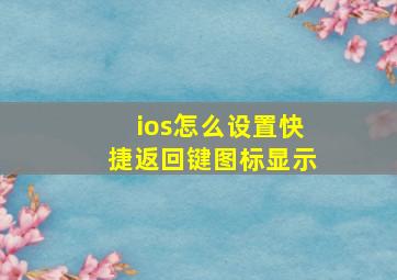 ios怎么设置快捷返回键图标显示