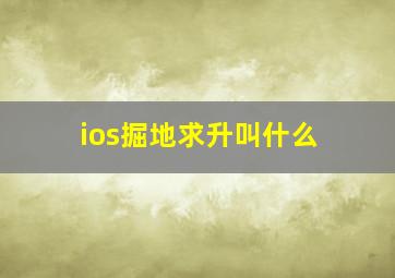 ios掘地求升叫什么