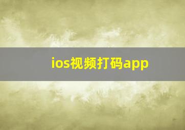 ios视频打码app