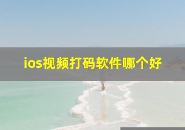 ios视频打码软件哪个好