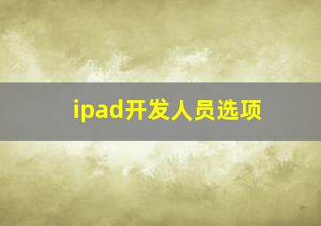 ipad开发人员选项