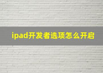 ipad开发者选项怎么开启