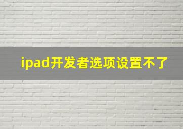 ipad开发者选项设置不了