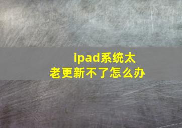 ipad系统太老更新不了怎么办