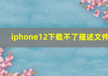 iphone12下载不了描述文件