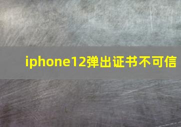 iphone12弹出证书不可信