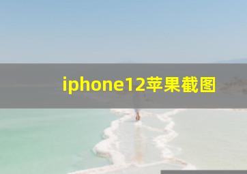 iphone12苹果截图