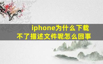 iphone为什么下载不了描述文件呢怎么回事