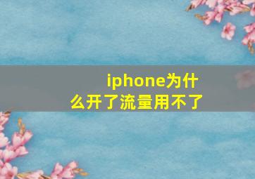 iphone为什么开了流量用不了