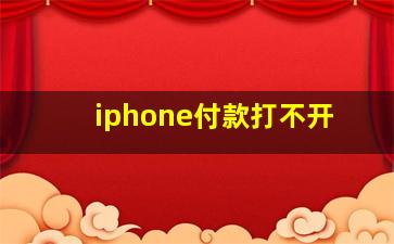 iphone付款打不开