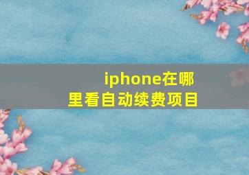 iphone在哪里看自动续费项目