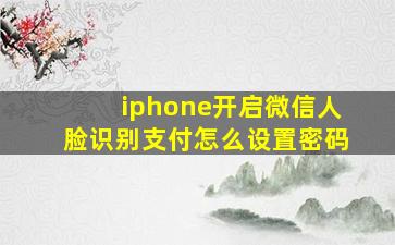 iphone开启微信人脸识别支付怎么设置密码