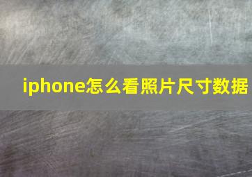 iphone怎么看照片尺寸数据