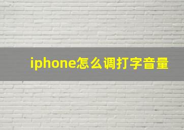 iphone怎么调打字音量