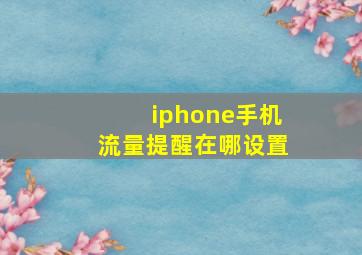 iphone手机流量提醒在哪设置