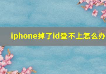 iphone掉了id登不上怎么办