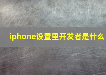 iphone设置里开发者是什么