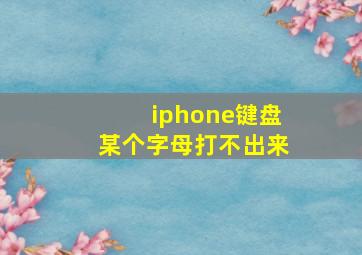 iphone键盘某个字母打不出来