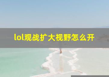 lol观战扩大视野怎么开