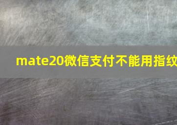 mate20微信支付不能用指纹