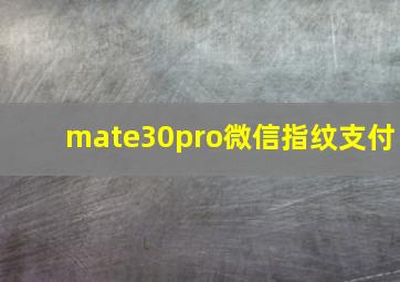 mate30pro微信指纹支付