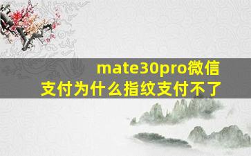 mate30pro微信支付为什么指纹支付不了