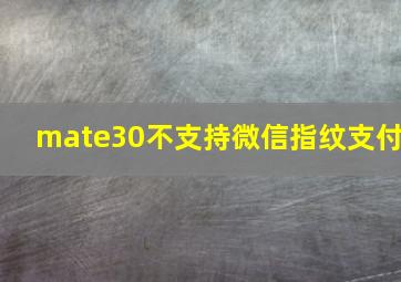 mate30不支持微信指纹支付