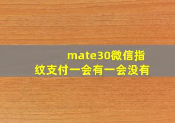 mate30微信指纹支付一会有一会没有