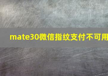 mate30微信指纹支付不可用